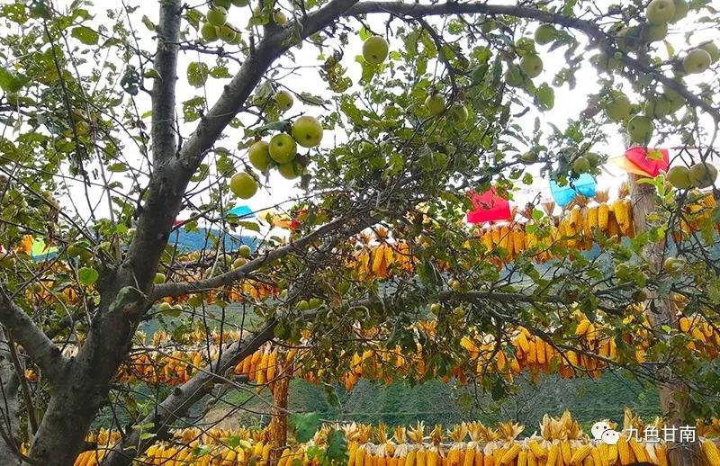 微信图片_20191203093322.jpg