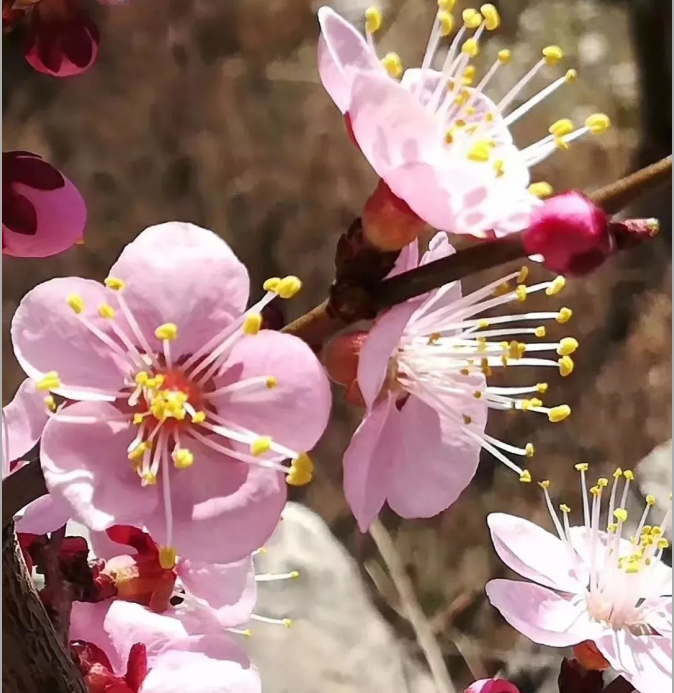 QQ截图20180328103057.png QQ截图20180328103057.png