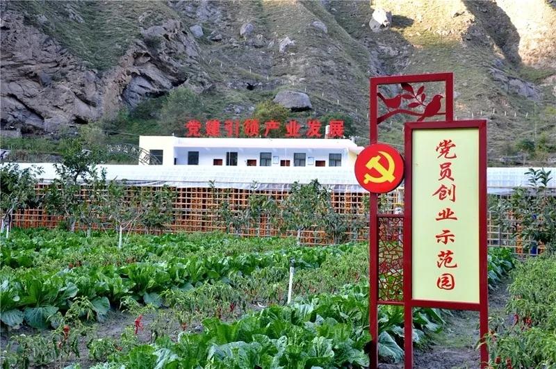 微信图片_20200305092424.jpg