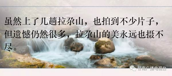 10.webp.jpg