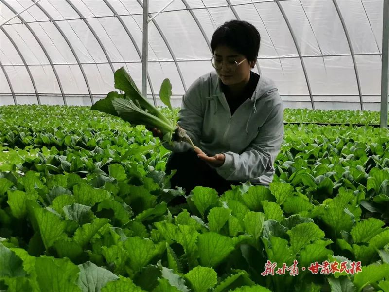微信图片_20220517110703_副本 图片
