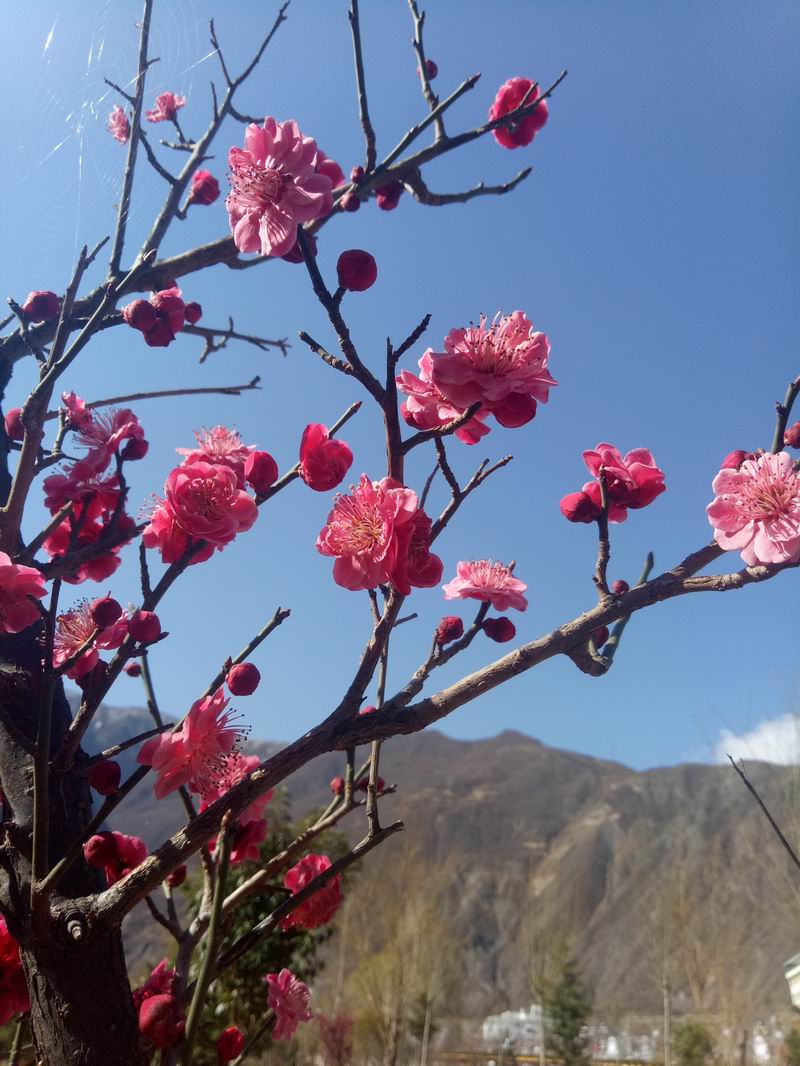 IMG20190310103652.jpg