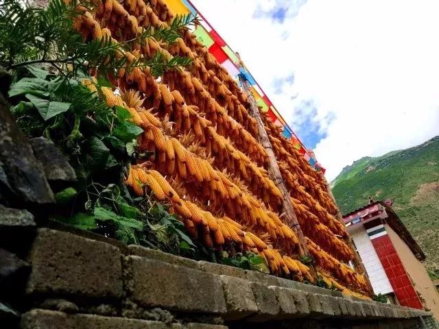 微信图片_20200303100455.jpg