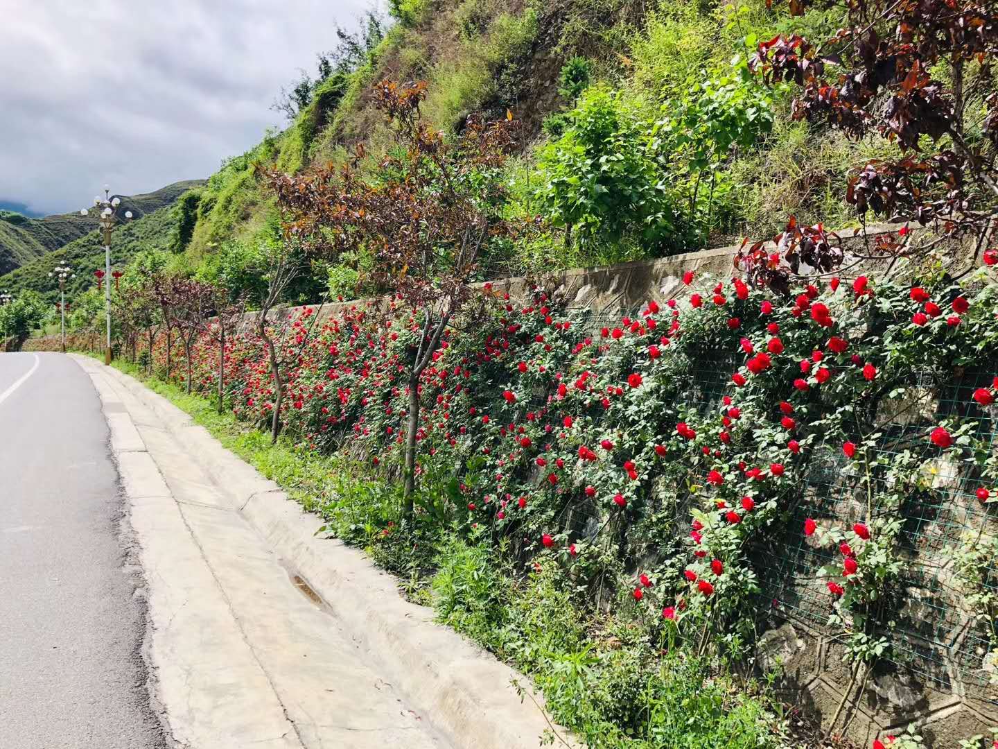 微信图片_20190614145651.jpg 微信图片_20190614145651.jpg