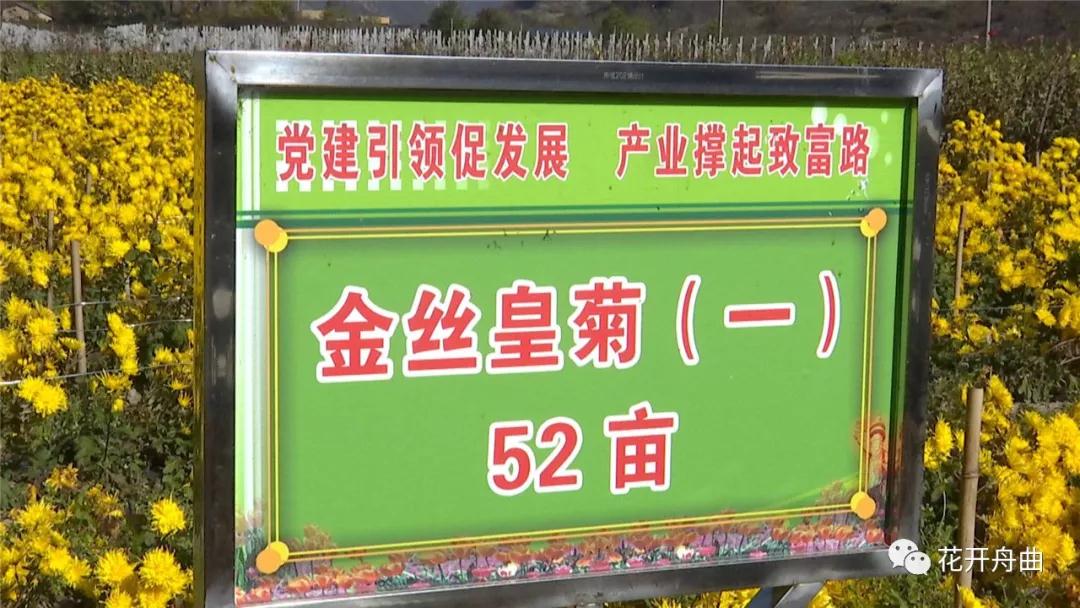 微信图片_20191118090719.jpg