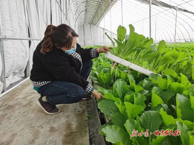 微信图片_20220517110706_副本 图片