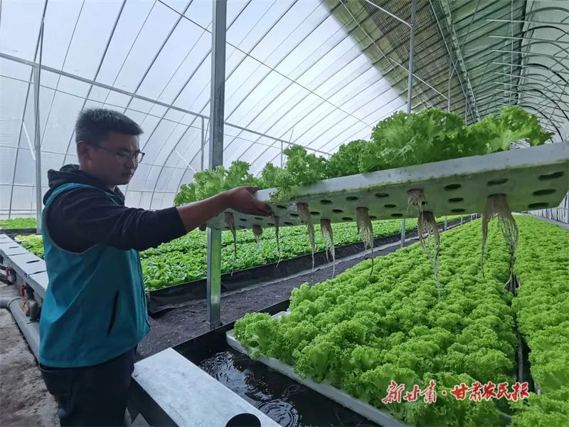 微信图片_20220517110709_副本 图片