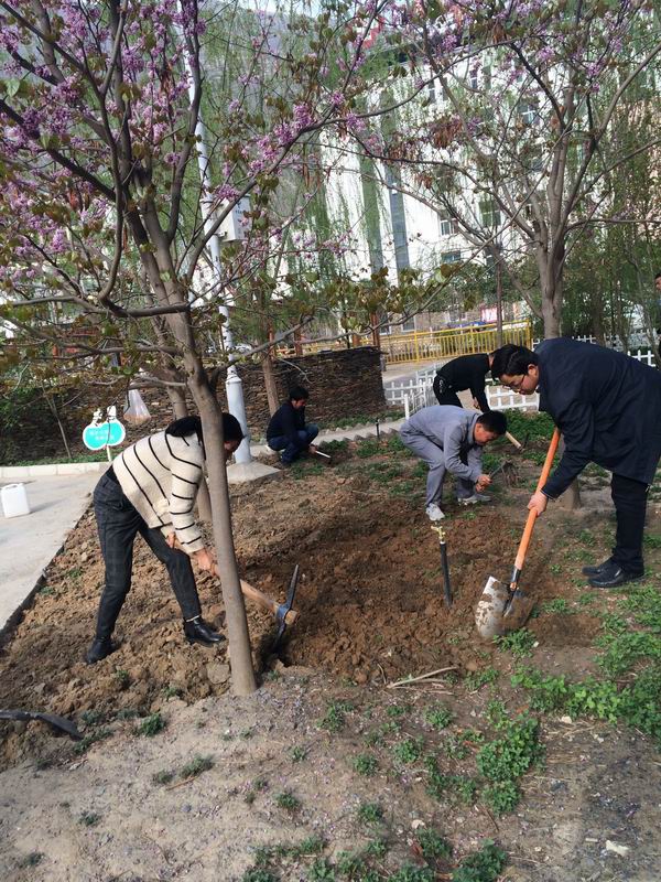 QQ图片20180322155246.jpg