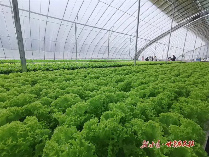 微信图片_20220517110700_副本 图片