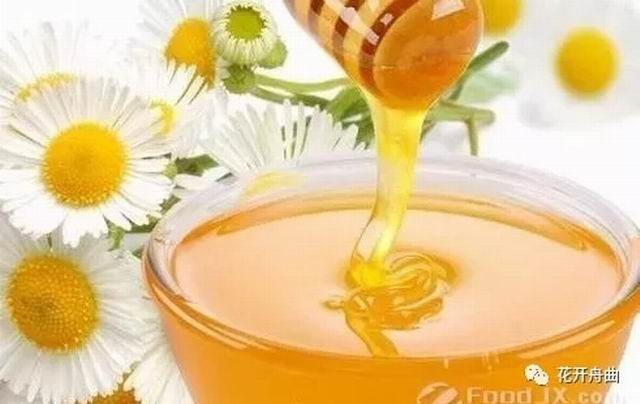 蜂蜜1.webp.jpg 蜂蜜1.webp.jpg