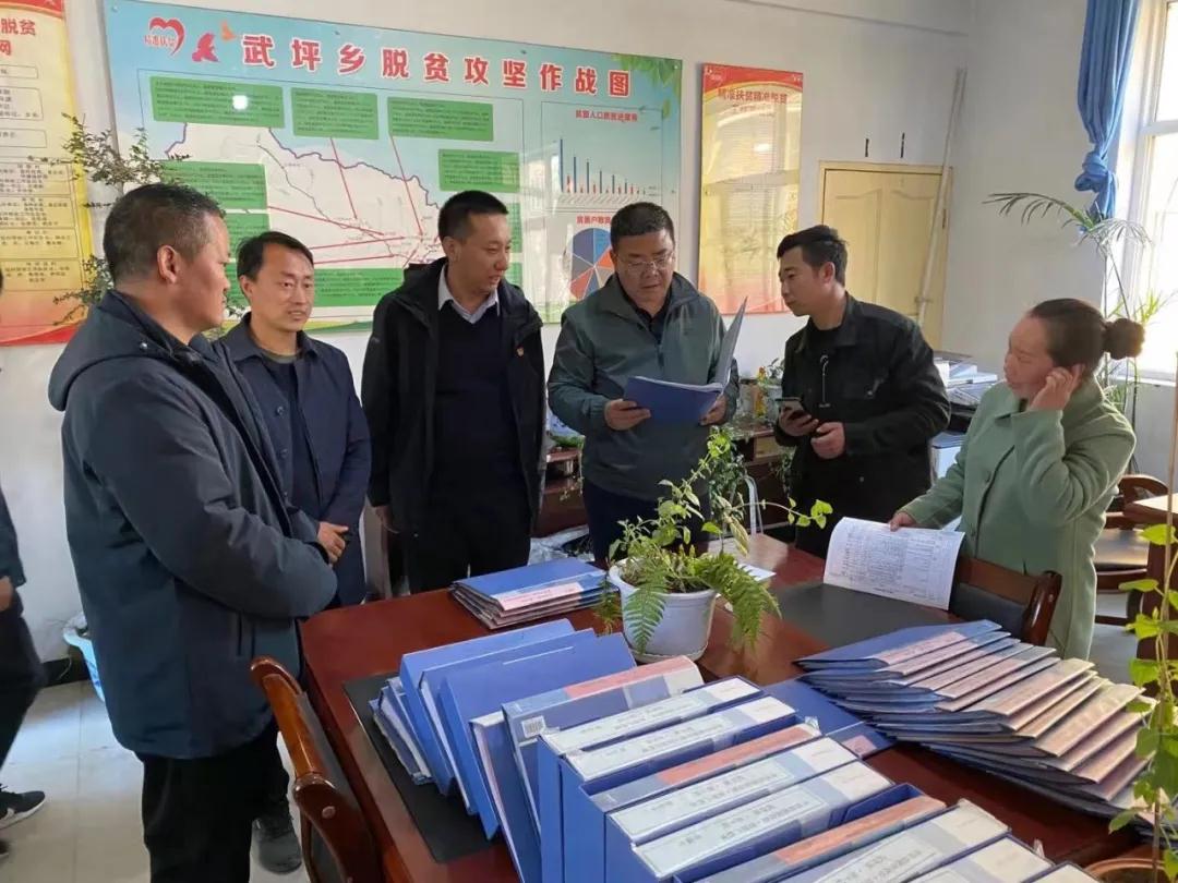 常务副县长杨树峰深入武坪镇调研指导政务服务体系建设等工作-舟曲县