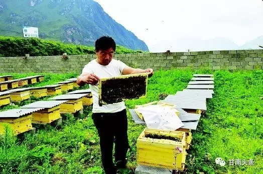 中华锋.webp.jpg