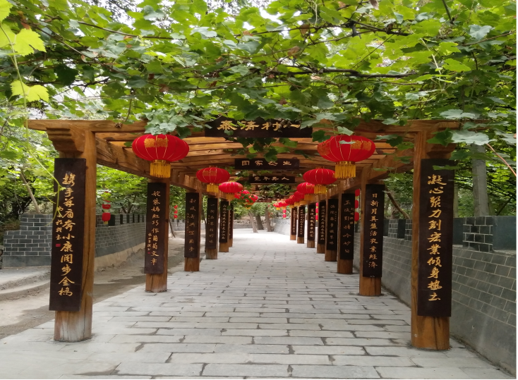 图片19.png 图片19.png