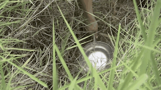 微信图片_20190913093336.gif