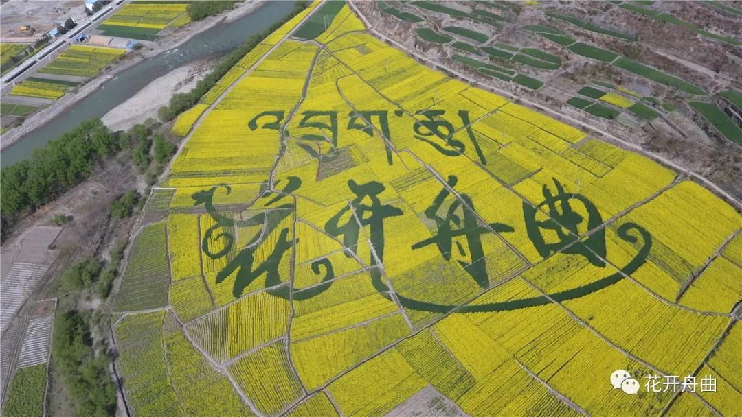 微信图片_20191128173613.jpg