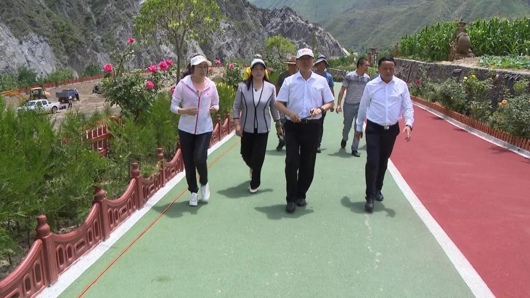 和"五无甘南·美丽舟曲"建设等工作,县人大常委会主任王丽英陪同调研
