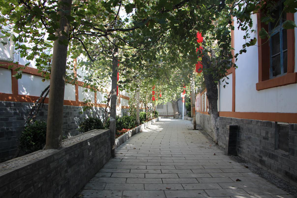 图片22.png 图片22.png