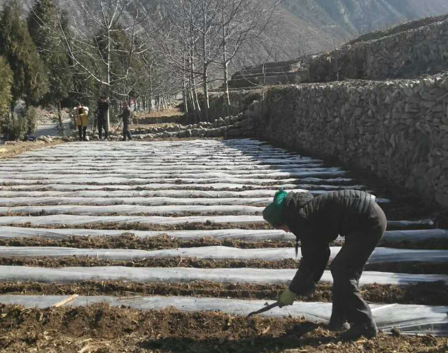 QQ截图20180224092303.png QQ截图20180224092303.png
