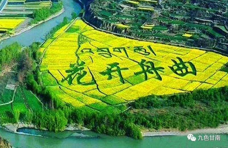 微信图片_20191203093254.jpg 微信图片_20191203093254.jpg