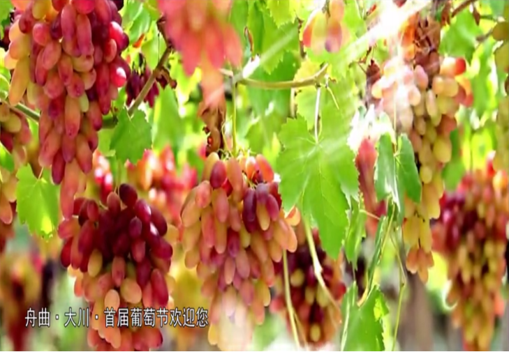 图片14.png 图片14.png