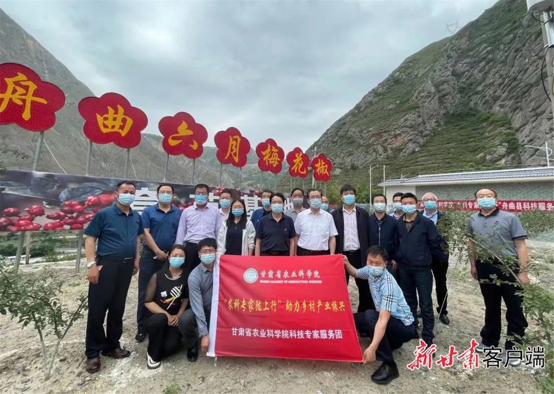 FZ007213836702_A3292535 图片