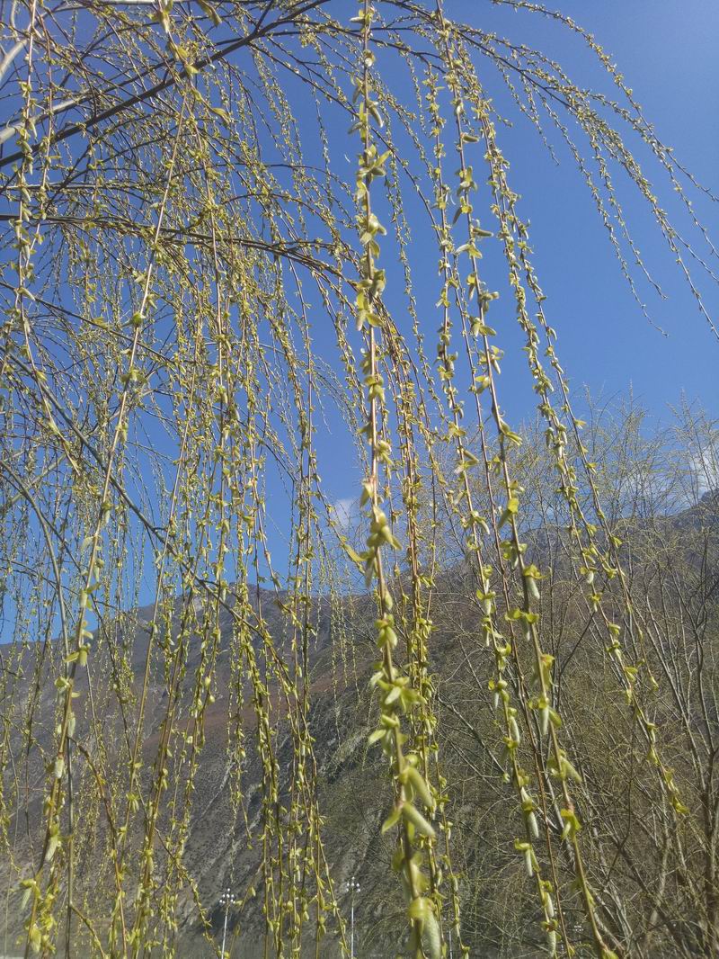 IMG20190310104142.jpg