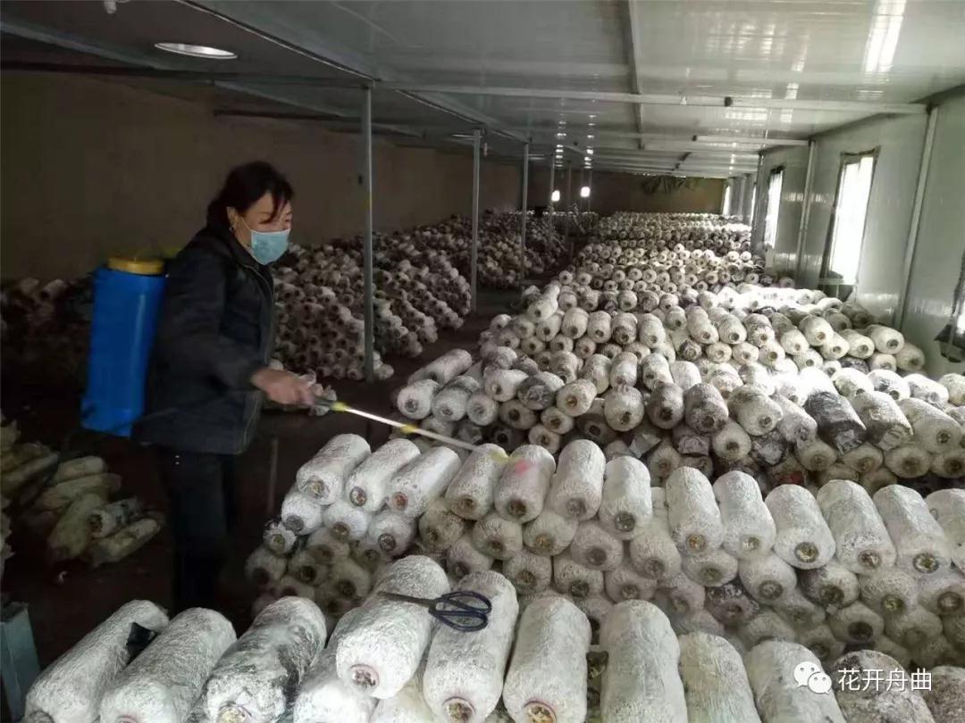 微信图片_20200221093654.jpg 微信图片_20200221093654.jpg