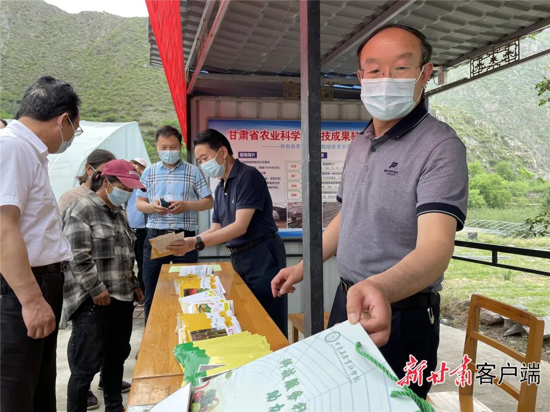 FZ007213836702_A3292520 图片